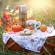 Picnic 3