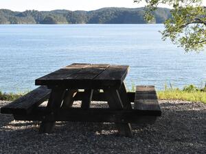 Picnic 1