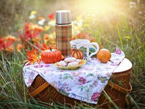 Picnic 3