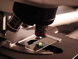 microscope