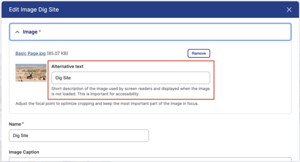 Screenshot of alt text field on images